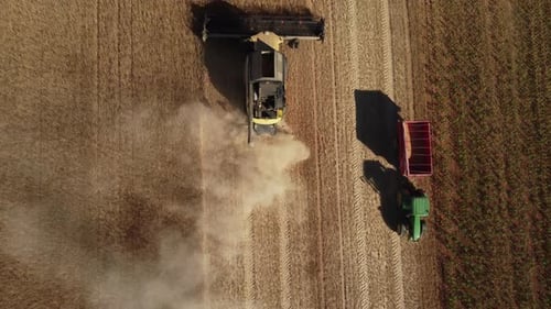 Tractor Wheat Harvesting in Agriculture Farm Aerial View
