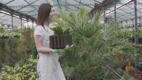 Woman Holding Planter Box in Tropical Greenhouse