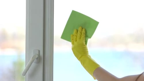 Hand in Glove Cleaning Window