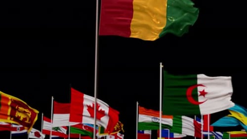 Seamless Loop of Waving Flags from Diverse Nations