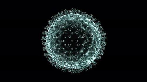 Virus Organic Movement Under Electron Microscope