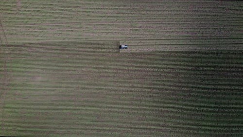 Tractor Mowing Green Field Aerial View