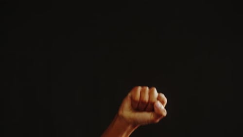Clenched Fist Raised in Defiance on Black