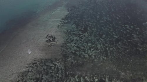 Beach sea