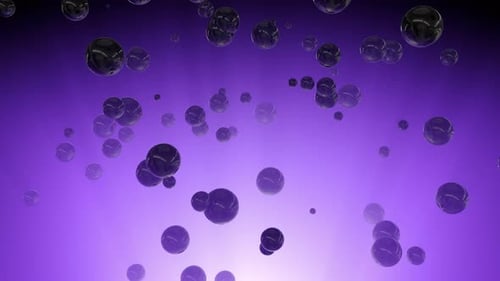Texture background from lilac balls in the rays of light.