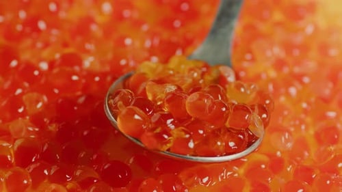 Spoon with Fresh Red Caviar Trout Caviar Closeup