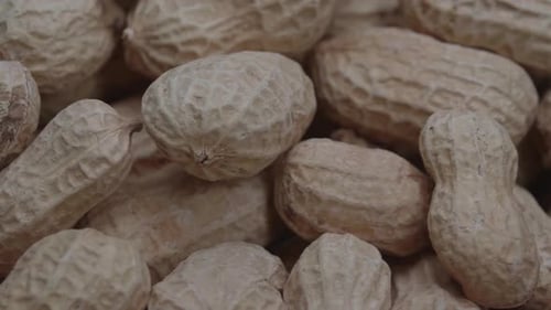 Close Up of Shelled Peanuts