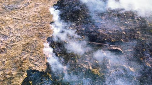 Aerial Drone View Burning Dry Grass