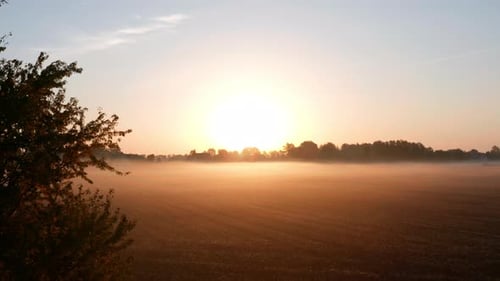 Morning with Fog on a Field in a Rural Area with Houses and a Field