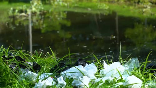 Plastikmüll am Seeufer, ökologische Verschmutzung, negativer Zustand der Tierwelt