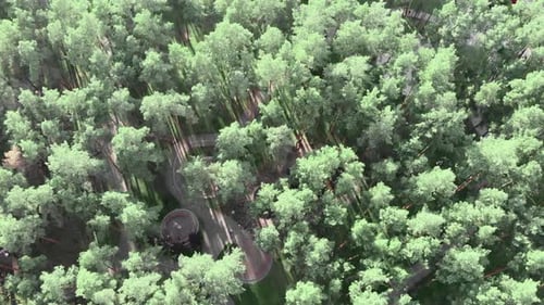 Stadtpark, umgeben von großen Pinien und See mit Spaziergängen und spielenden Kindern