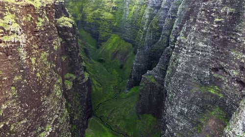 Drone Survey From the Wild Deep Ravine of Hawaii Massif, Rocky Volcanic Cliffs Covered with Grass