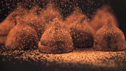 Delicious Chocolate Truffles with Cocoa Powder Sprinkling