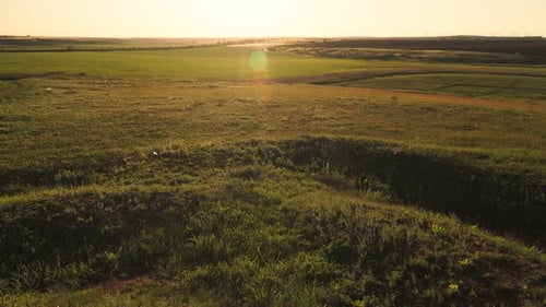 Beautiful green field at sunset. The stunning landscape