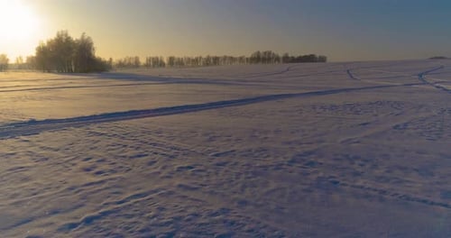 Drohnen-Luftaufnahme der kalten Winterlandschaft mit arktischen Feld-Bäumen, die mit Frost, Schnee bedeckt sind