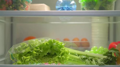 Fresh Fruits and Vegetables Stored in Refrigerator