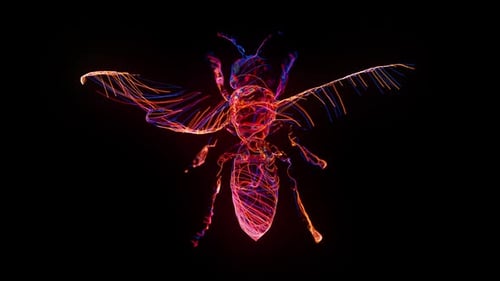 Glowing Neon Wireframe Digital Insect Animation