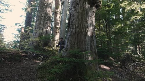 Man Hikes Down Forest Path With Dog