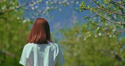 Calm Walk in Blooming Gardenrear View of Strolling Woman in Spring Day Prores
