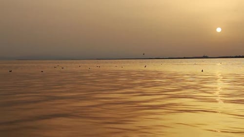 Puesta de sol de mar y aves marinas