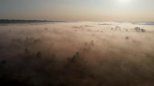 Epic aerial view of sunrise fog covering field with trees.