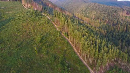 Deforestation. Aerial drone view of forest destroyed in Ukraine.