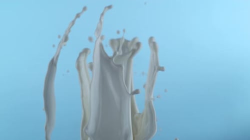 Milchspritzer in Zeitlupe, aufgenommen mit Phantom Flex 4K bei 1000 Bildern pro Sekunde
