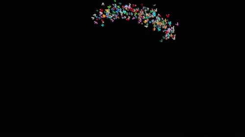 Vibrant Butterflies Flying in an Arc Animation
