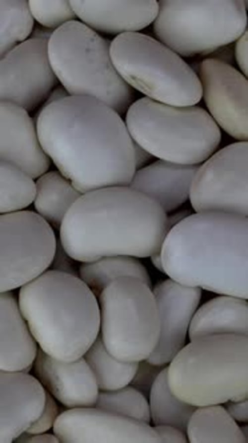 Close Up View of White Beans