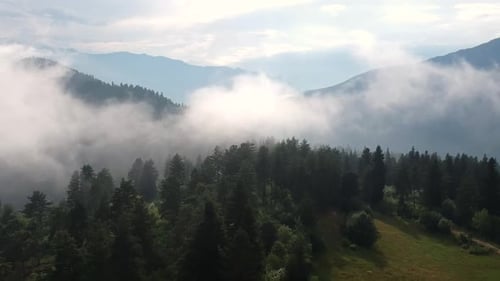 Misty Mountain and Forest Aerial View