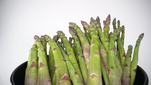 Asparagus 27