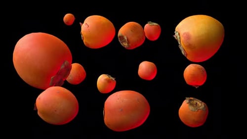 Persimmon Fruit