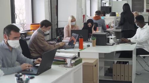 International Office, Working and Communicate in an Open Space, Office Workers and Managers