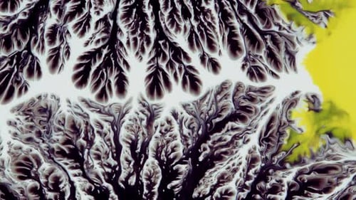 Crystal Germination