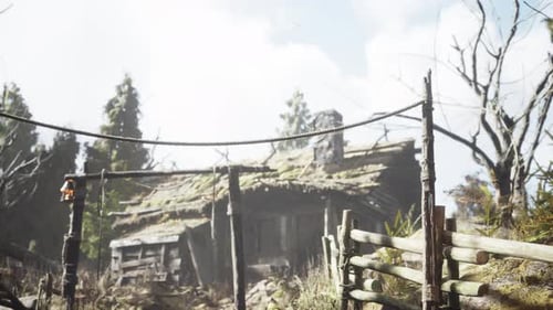 Old Retro Village in Pine Forest