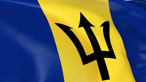 Barbados National Flag Waving in Realistic Loop