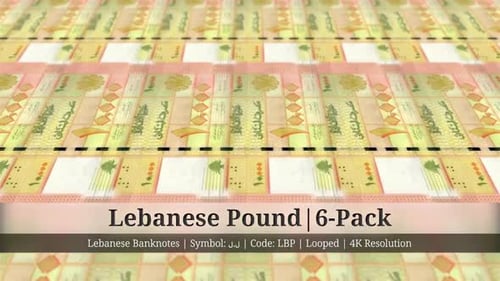 Lebanese Pound | Lebanon Currency - 6 Pack | 4K Resolution | Looped