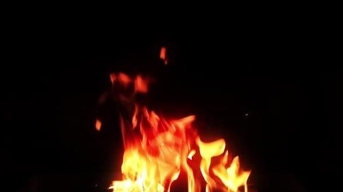 Blazing Fire Flames on Black Background