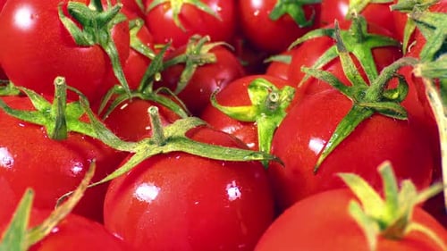 Close Up Pile Of Fresh Tomato On The Market Counter 1
