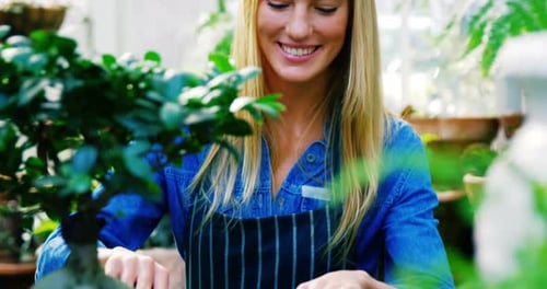 Smiling woman examining a pot plant