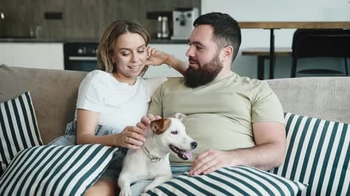 Couple Relaxing at Home with Their Dog