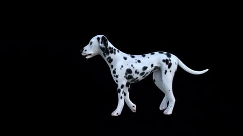 Dalmatian Walk