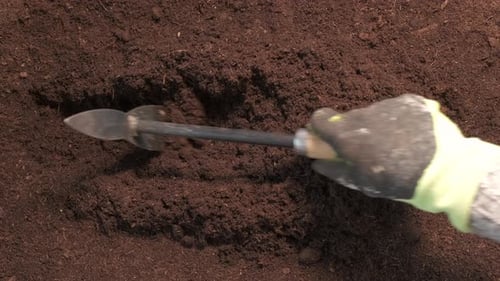 Gardener Hand Tilling Rich Dark Soil