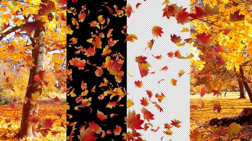 Seamless Falling Autumn Leaves Animated Overlay