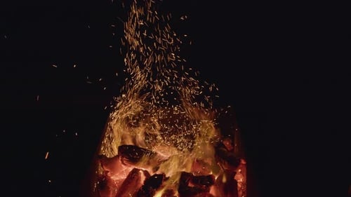 Coal. The Charcoal Is Burning Up in the Kebab Barbecue. The Fire Is Burning. Fire for Barbecue