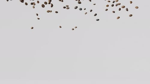 Realistic Falling Roasted Coffee Beans Animation