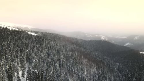 Aerial Winter Forest Nature Snow Covered Winter Trees
