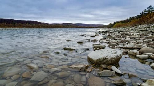 Wild Mountain River Close Up Abundant Clear Stream. Detail Static Shot of Babbling Creek with Stone