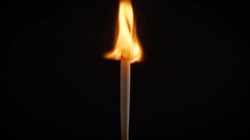Isolated Flame Burning on a Match on a Black Background