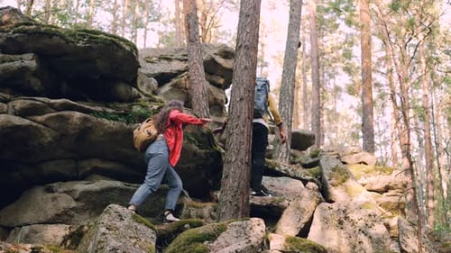 Friends Hiking Together in Forest Climbing Rocks